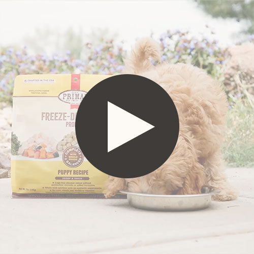 Freeze-Dried Raw Pronto <br> Pork Recipe Featured Video