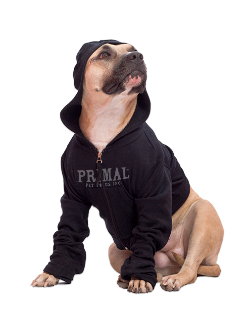 Primal Swag Shop